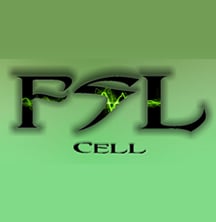 fsl